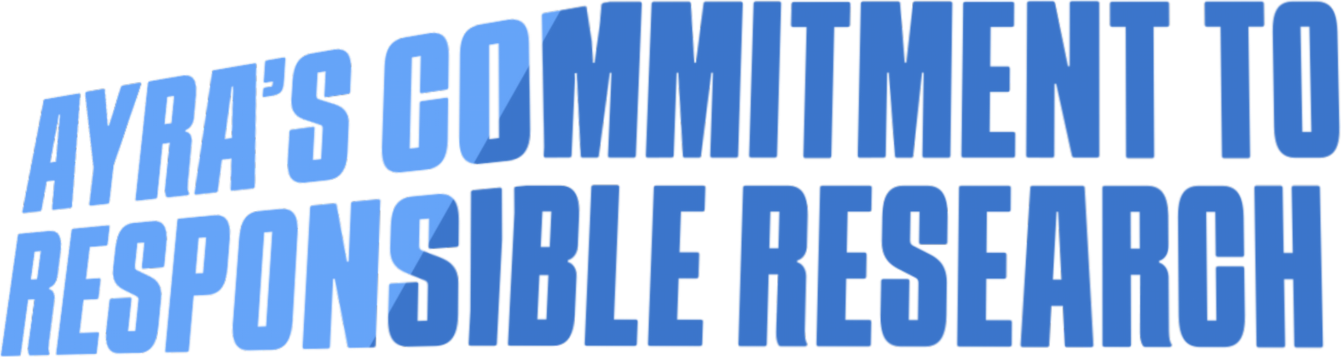 Your Journey Starts Here